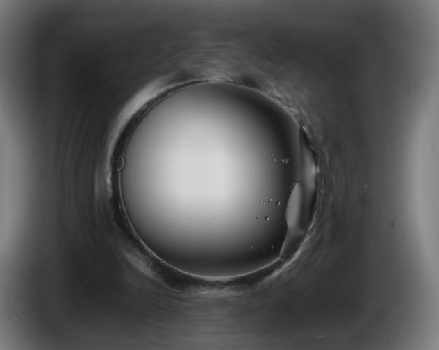 X0000086010246200703301016