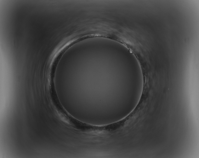 X0000086010247200703301016