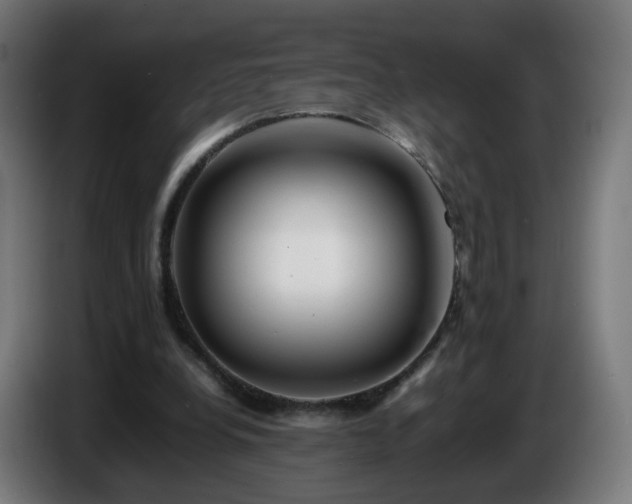 X0000086010248200703301016