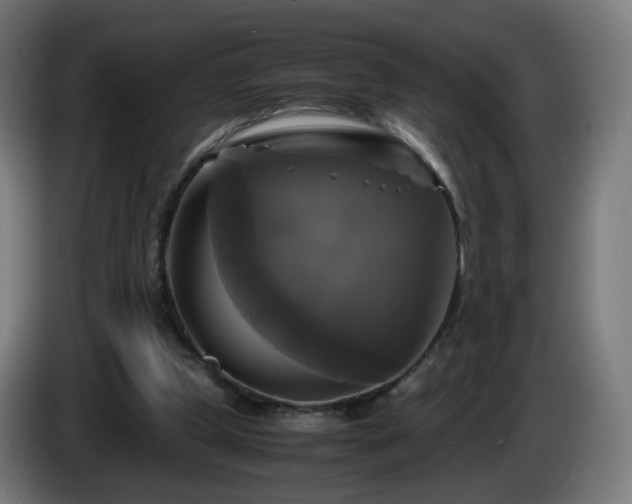 X0000086010249200703301016