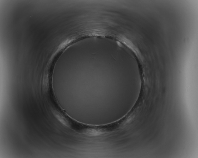 X0000086010250200703301016