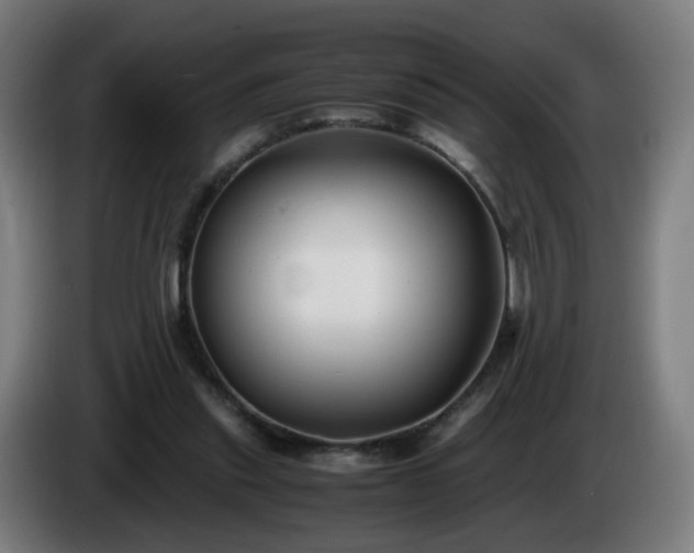 X0000086010253200703301016