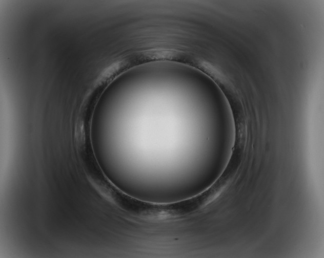 X0000086010254200703301016