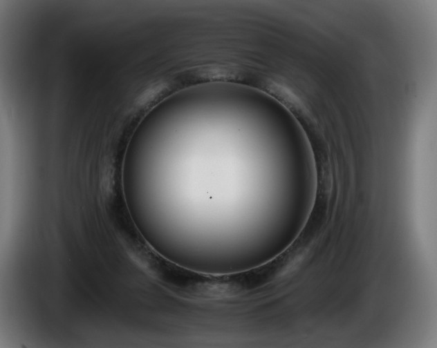 X0000086010255200703301016