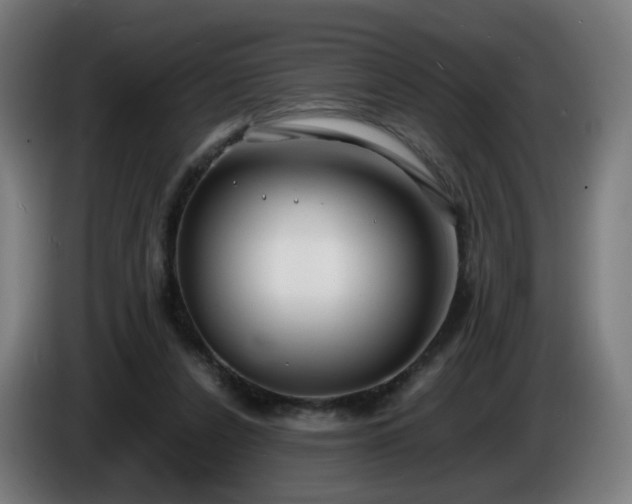 X0000086010256200703301016