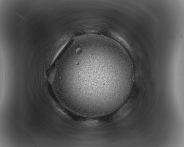 X0000086010257200703301016