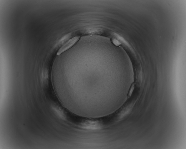 X0000086010260200703301016