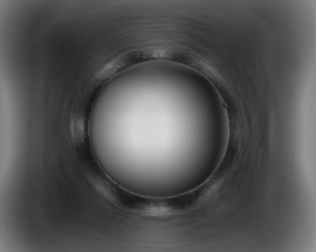 X0000086010262200703301017