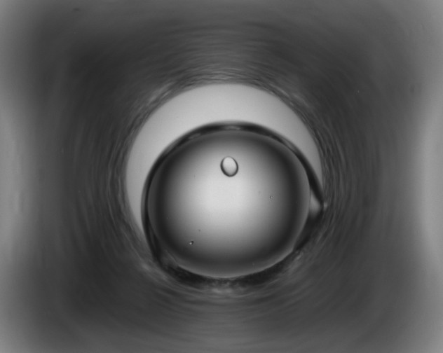 X0000086010264200703301017