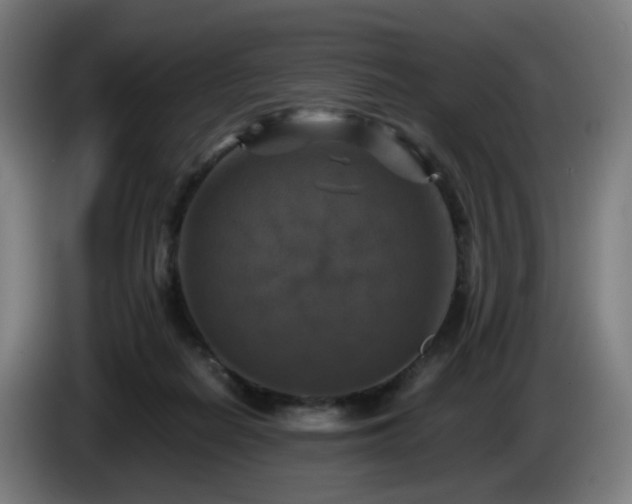 X0000086010266200703301017