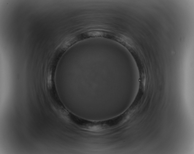 X0000086010267200703301017