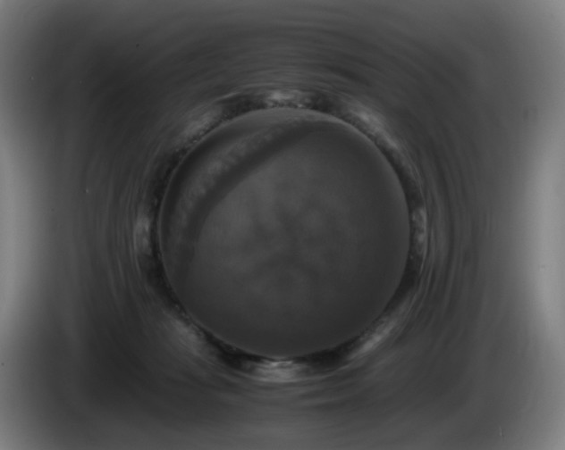 X0000086010269200703301017