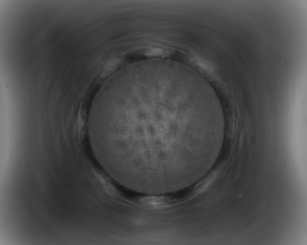 X0000086010273200703301017