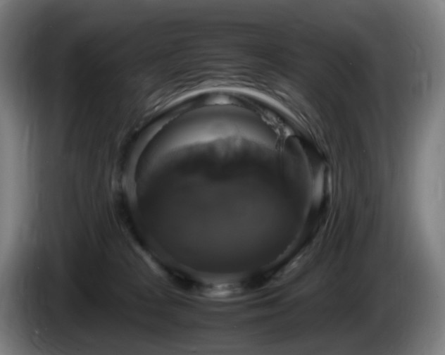 X0000086010277200703301017