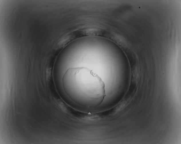 X0000086010278200703301017