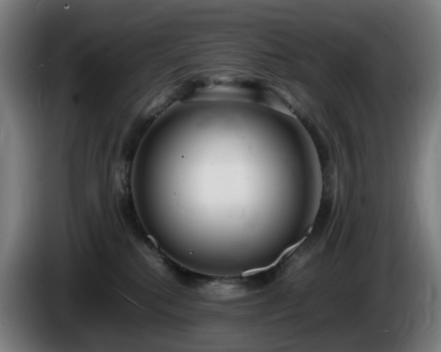 X0000086010280200703301017