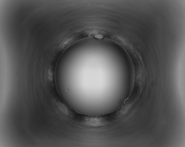 X0000086010282200703301017