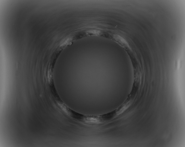 X0000086010285200703301017