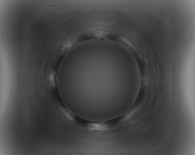 X0000086010286200703301017