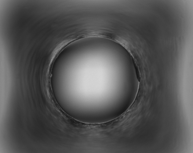 X0000086010289200703301016
