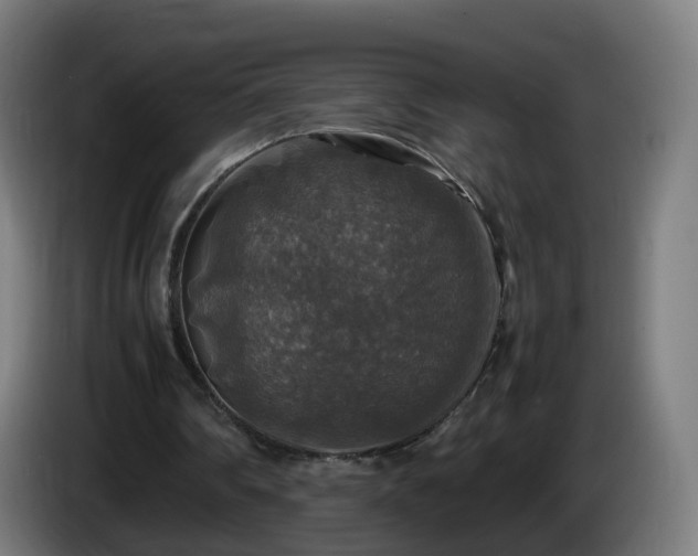 X0000086010290200703301016