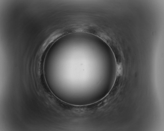 X0000086010291200703301016