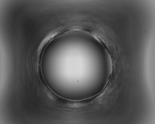 X0000086010293200703301016