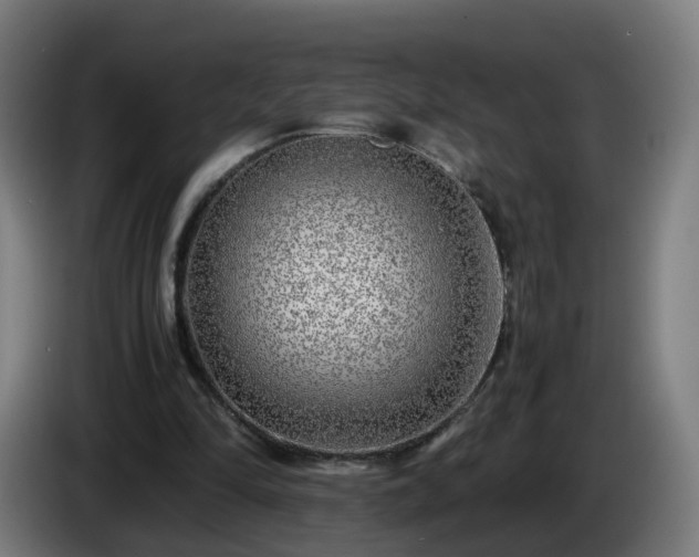 X0000086010294200703301016