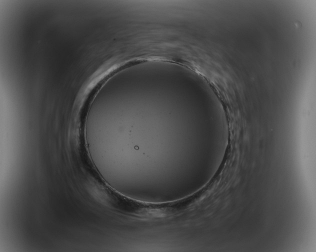 X0000086010295200703301016
