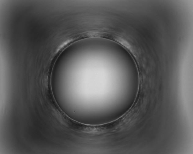 X0000086010297200703301016