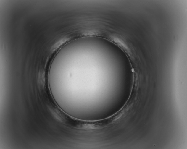 X0000086010298200703301016