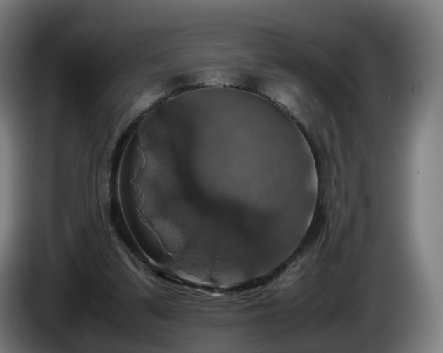 X0000086010299200703301016