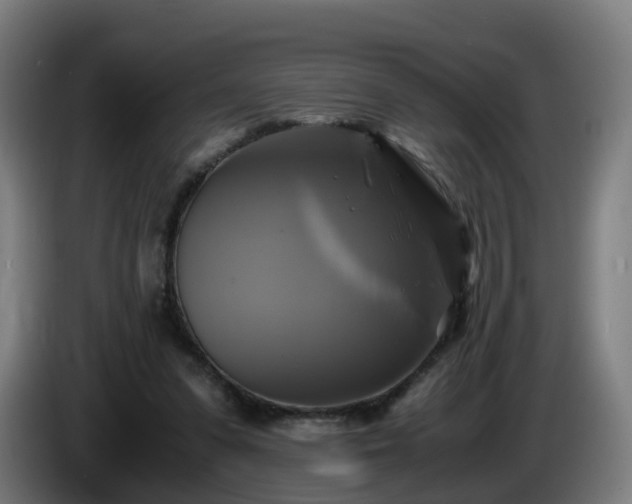 X0000086010303200703301016