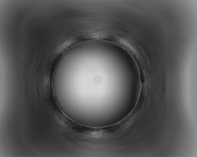 X0000086010306200703301016