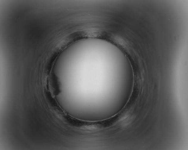 X0000086010307200703301016