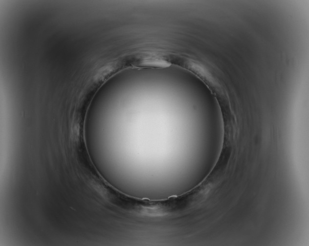 X0000086010309200703301016
