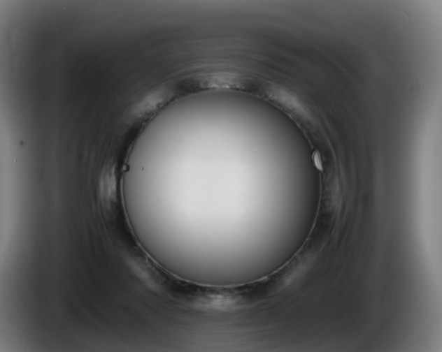 X0000086010310200703301016