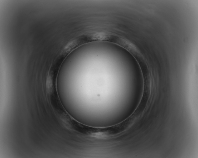 X0000086010312200703301016
