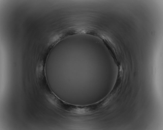X0000086010314200703301016