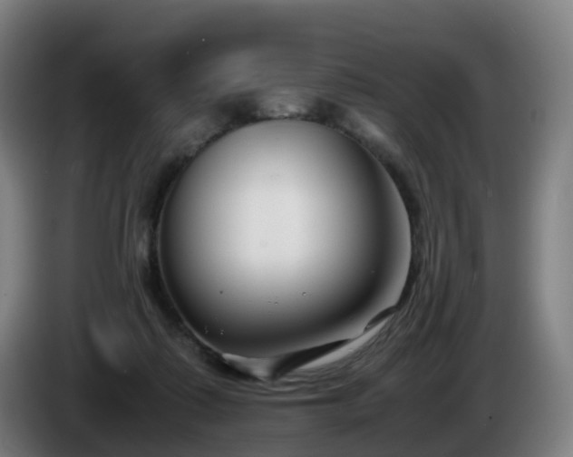 X0000086010315200703301016
