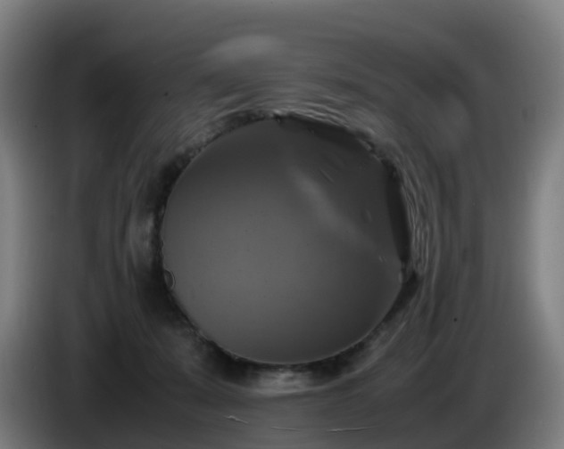 X0000086010319200703301016