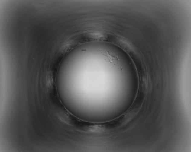 X0000086010320200703301016