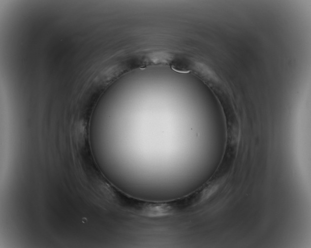 X0000086010321200703301016