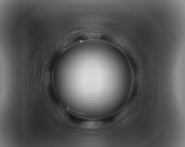 X0000086010323200703301016