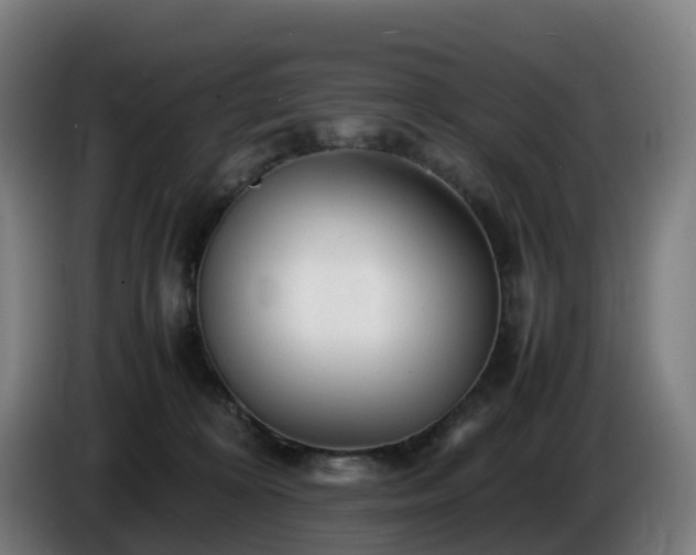 X0000086010324200703301016