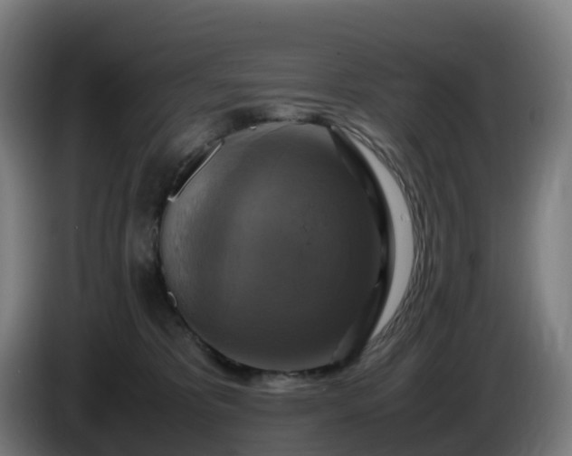 X0000086010325200703301016