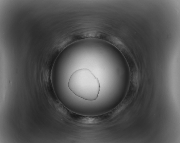 X0000086010326200703301016