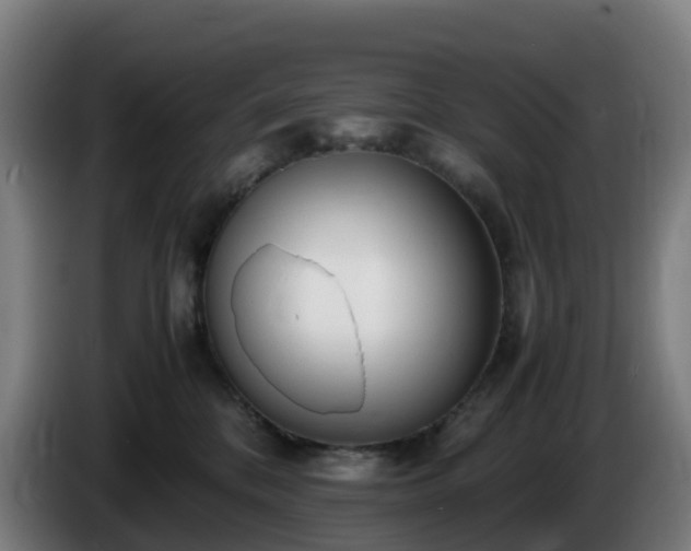 X0000086010328200703301016
