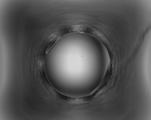 X0000086010329200703301016