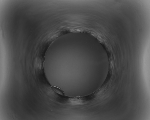 X0000086010331200703301016